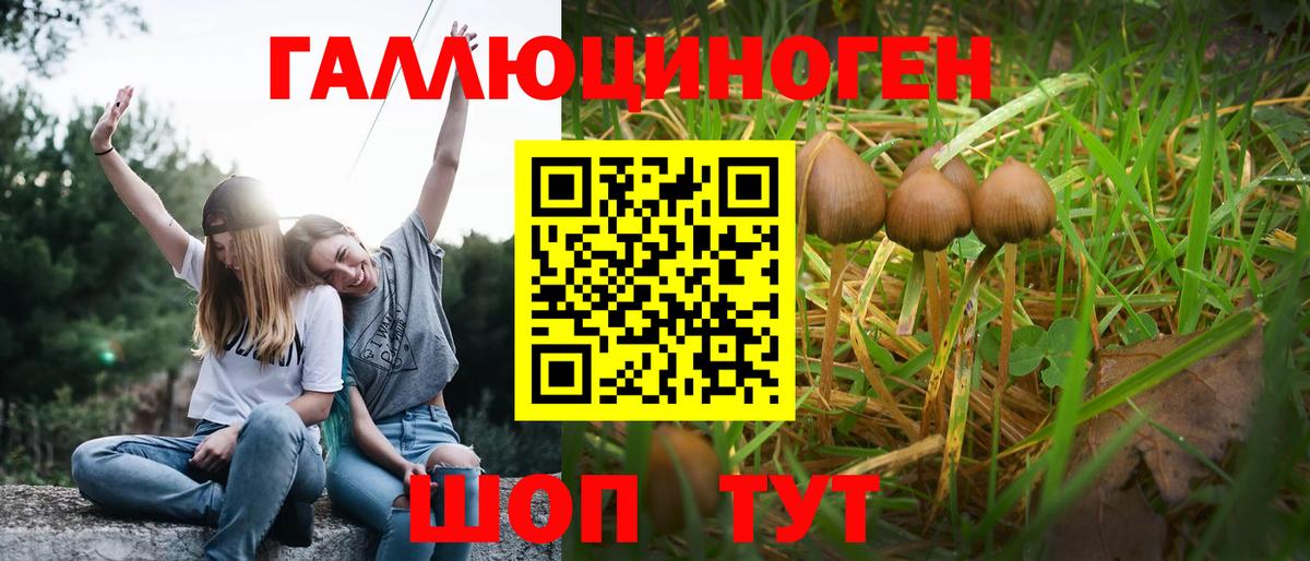 Урай  Галлюциногенные грибы мицелий  Вход с VPN 